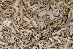 biomass boilers Thrupe